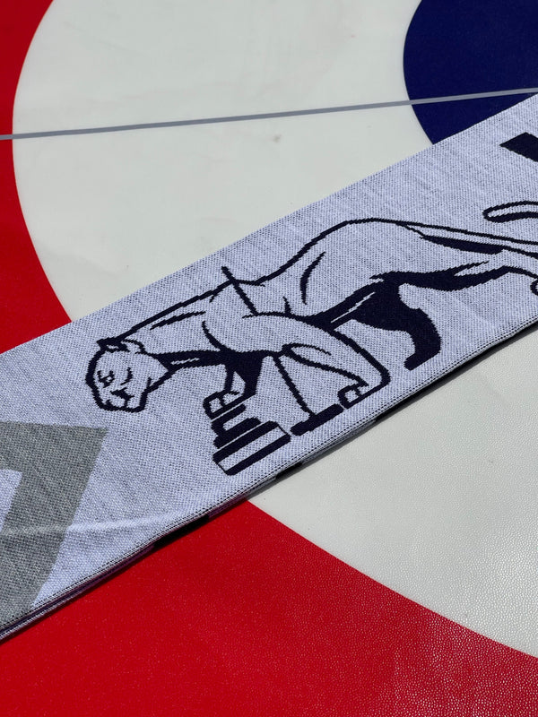 Curling at Penn State Scarf