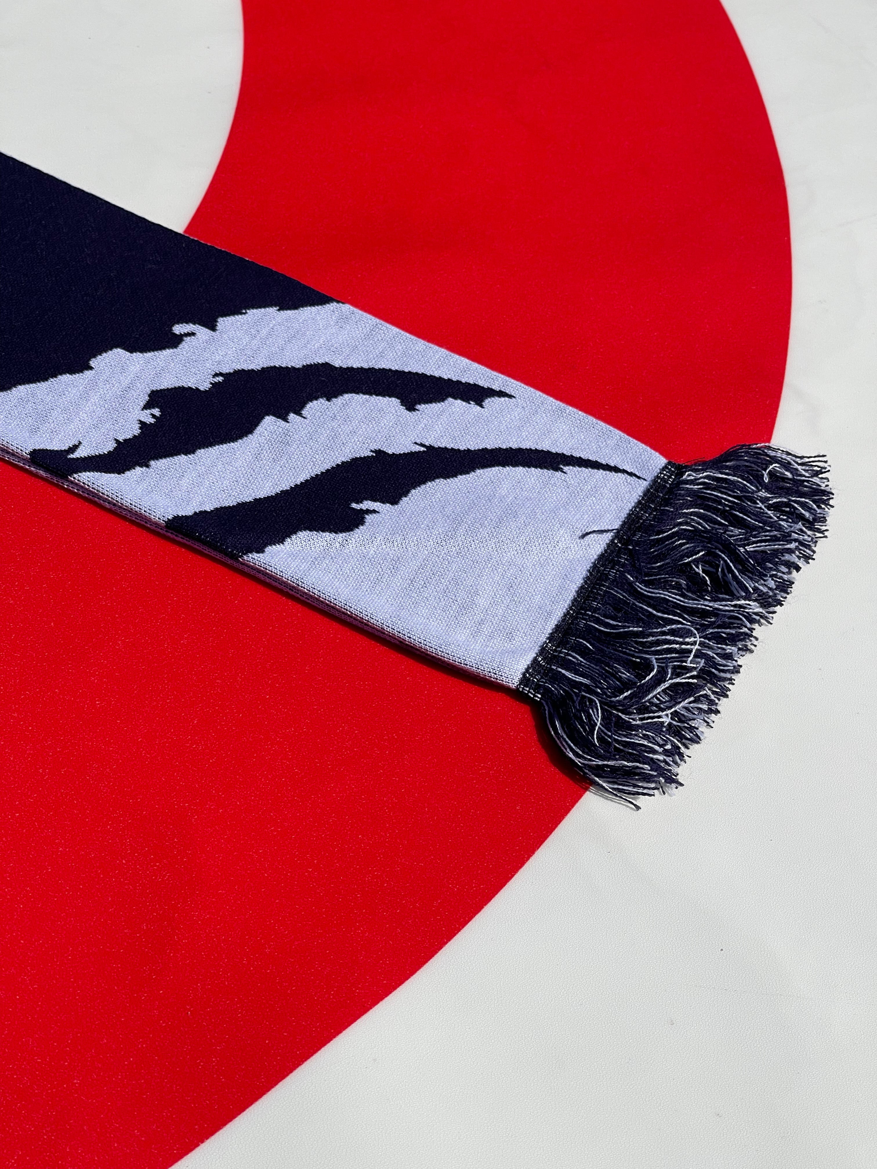 Curling at Penn State Scarf